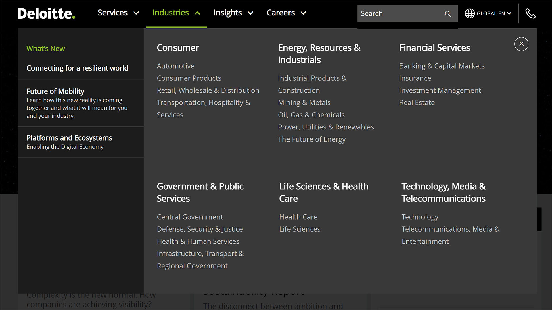 Deloitte Website: Content Hub für unterschiedliche Branchen